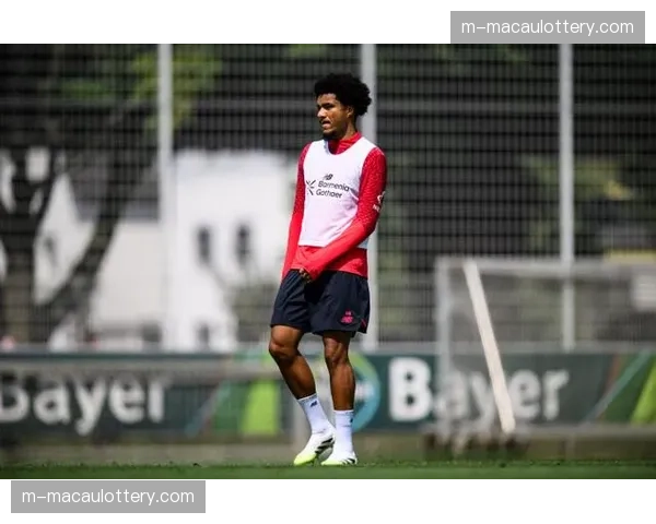 勒沃库森备战遭遇伤病打击 蒂尔曼伤情堪忧影响晋级前景